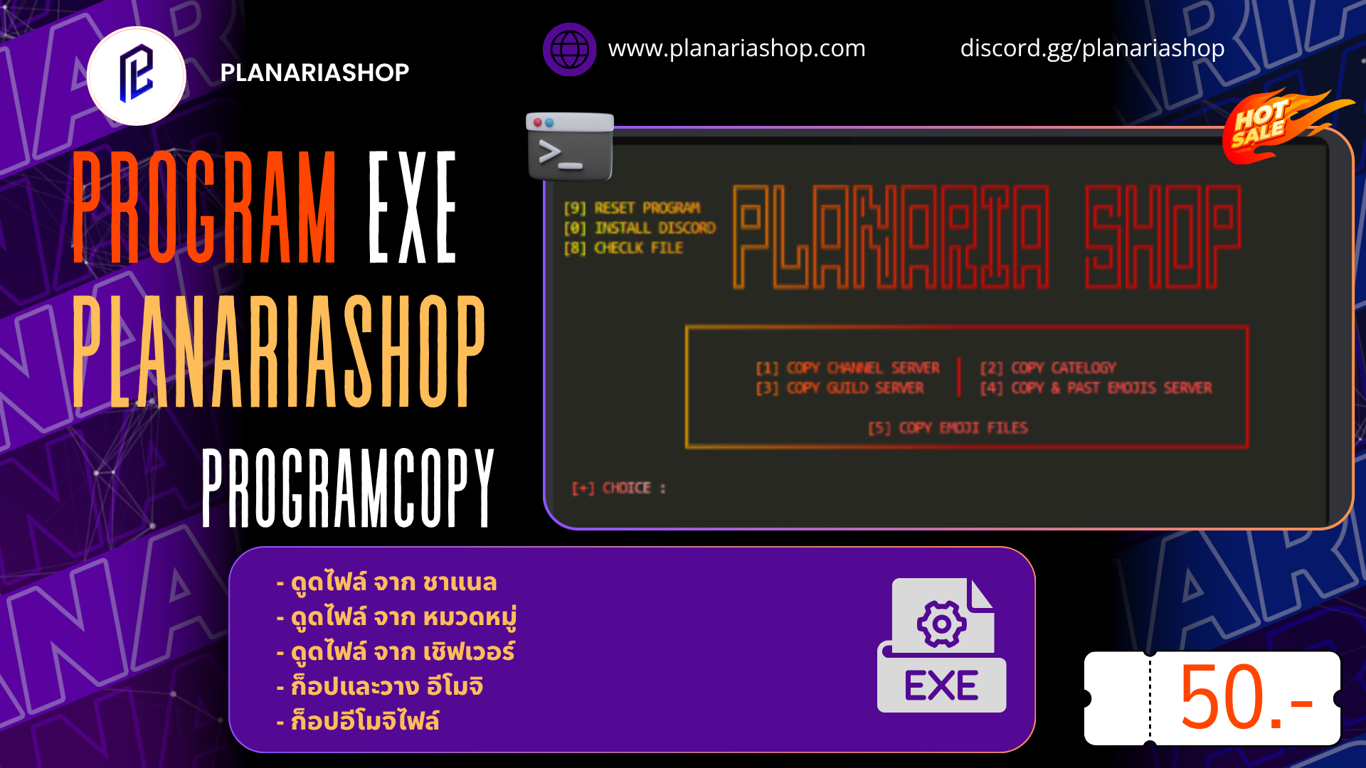 PROGRAMEXE COPYFILES ( โหลดไฟล์ )