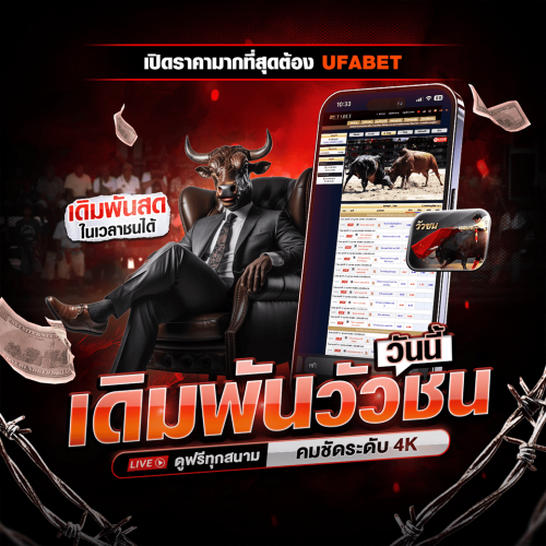 แทง วัวชน