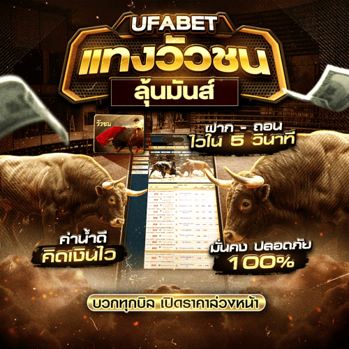 แทงวัวชน