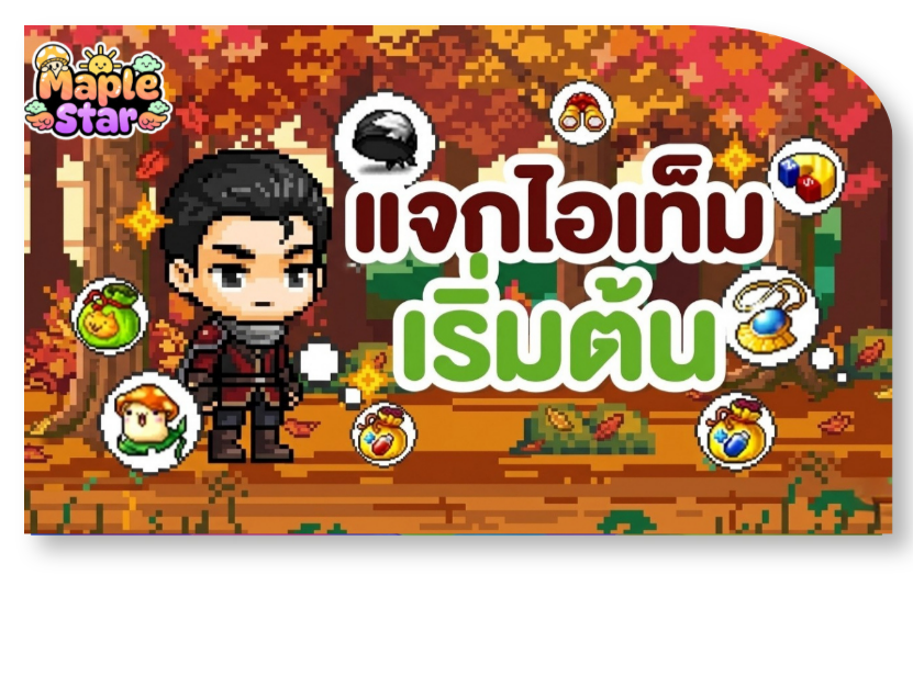  ระบบที่ 11