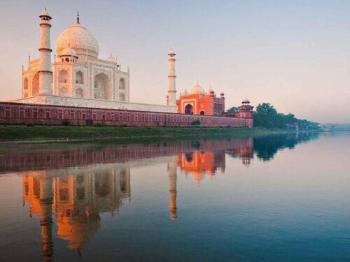 12 large 20210720112645