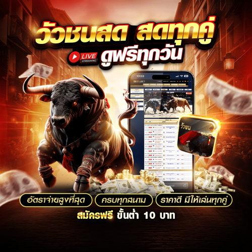 แทงวัวชน