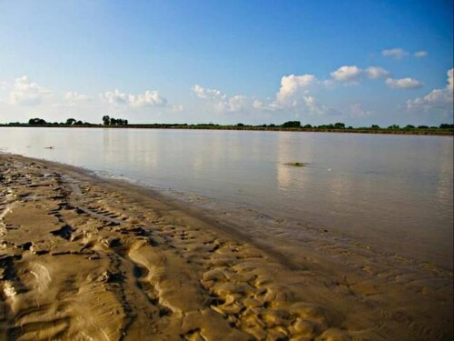 14 large 20210720112747