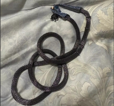 รูปภาพสินค้า 【Pre-Order】สร้อยประดับงู