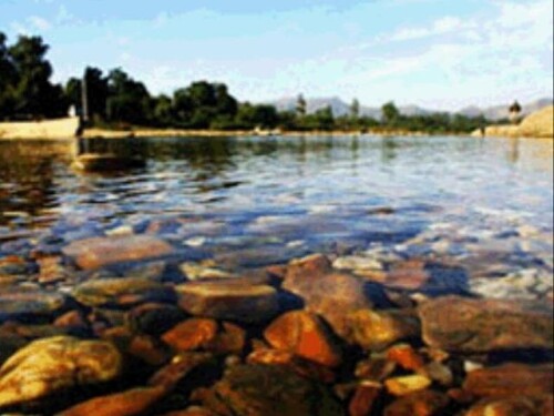 18 large 20210720112910