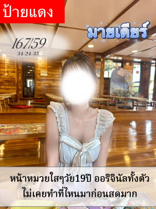 มายเดียร์