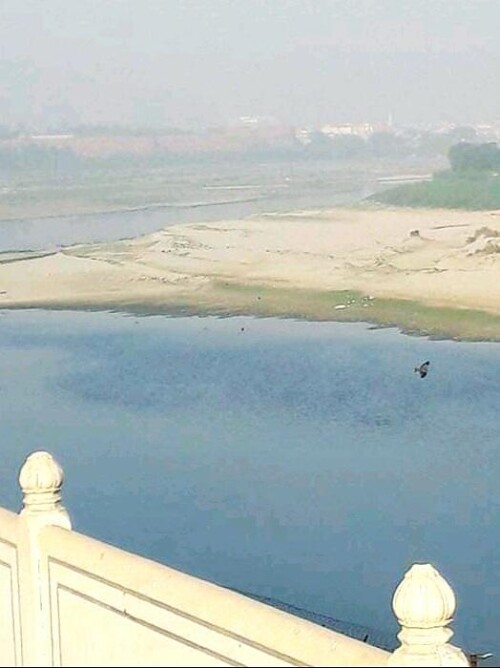 2 large 20210720111919