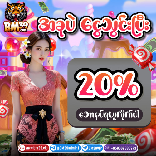 20% (3)