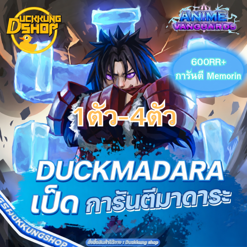 200-300RR-4.png