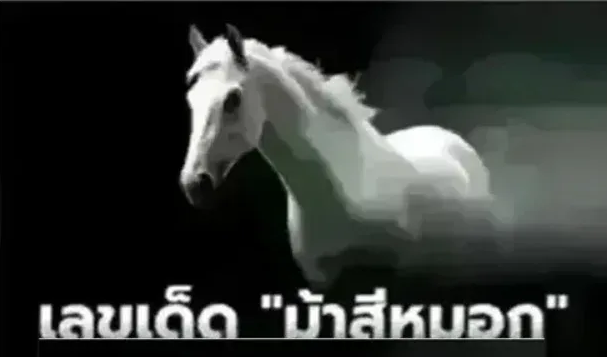 .เลขเด็ด 