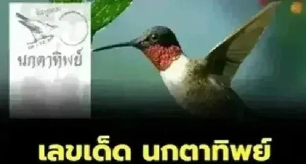 .เลขเด็ด 