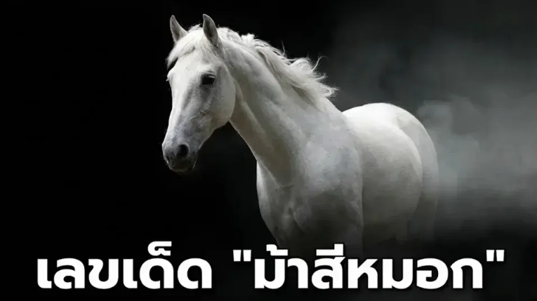 .เลขเด็ด 