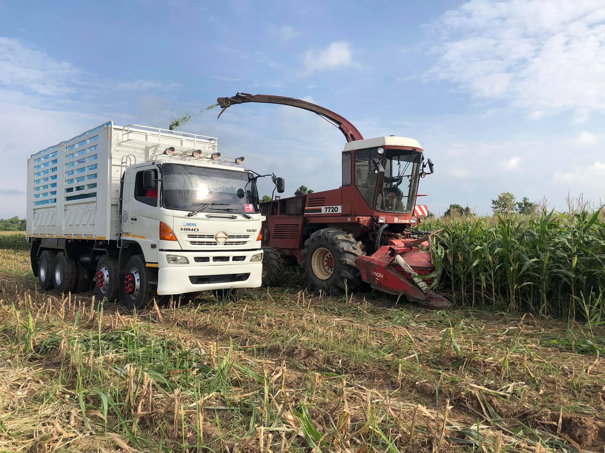 กองสินค้า