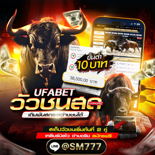 เว็บวัวชนถ่ายทอดสดทุกสนาม