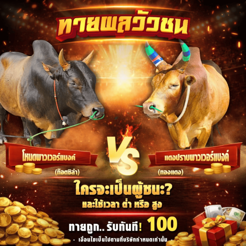 วัวชนนครตรัง