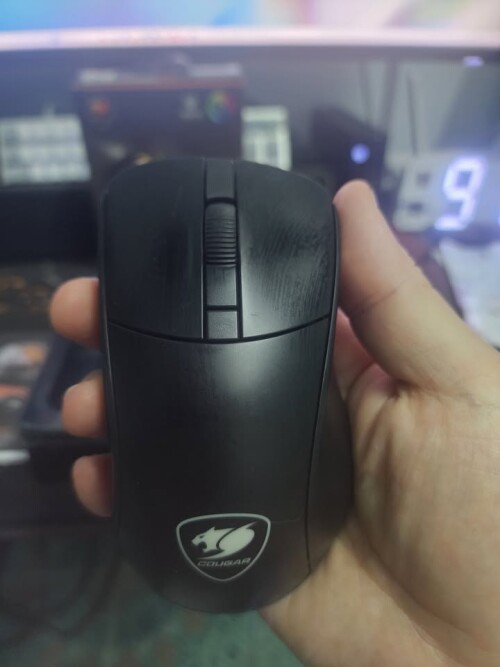 631628767 931335349467840 260646873616729377 n