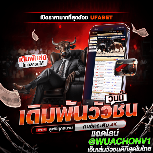 โปรแกรมวัวชนวันนี้