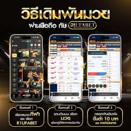 เดิมพันมวย