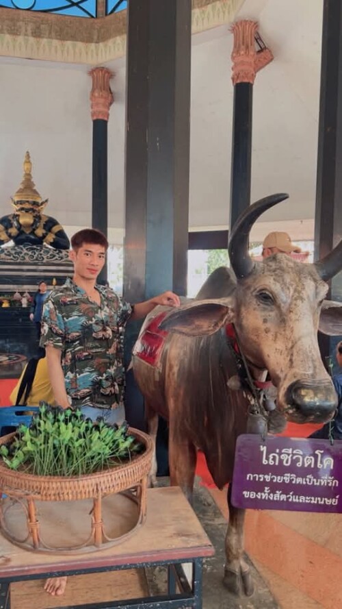 FB IMG 1767778725545