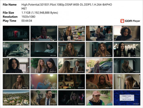 High.Potential.S01E01.Pilot.1080p.DSNP.WEB-DL.DDP5.1.H.264-BAPHOMET_Snapshot.jpg