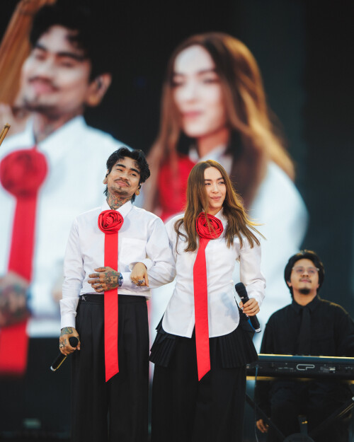 Highlight Palmy,เล็ก