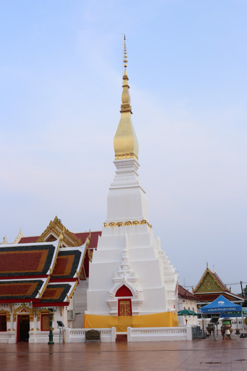 IMG_3069_resize.jpg