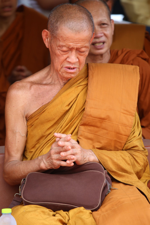 IMG_7805_resize.jpg