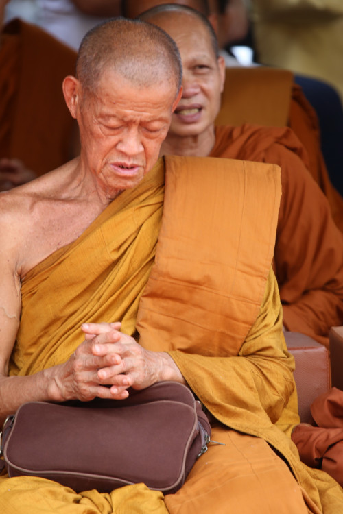 IMG_7808_resize.jpg
