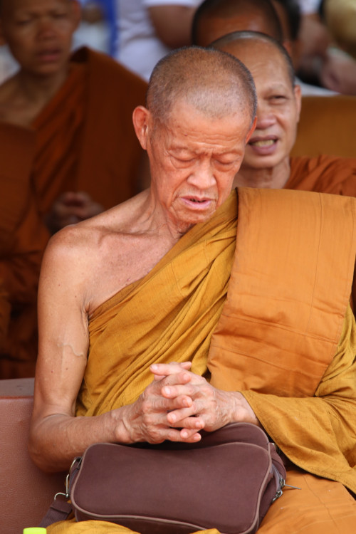 IMG_7809_resize.jpg