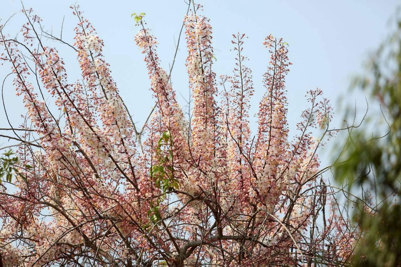 LINE ALBUM 2422026 260224 10