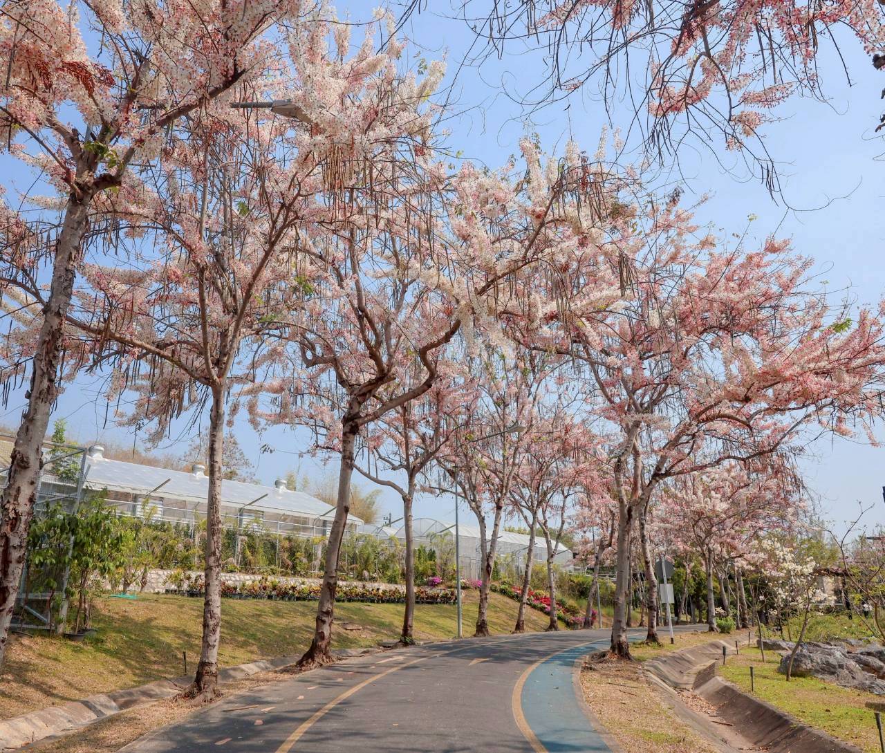 LINE ALBUM 2422026 260224 12