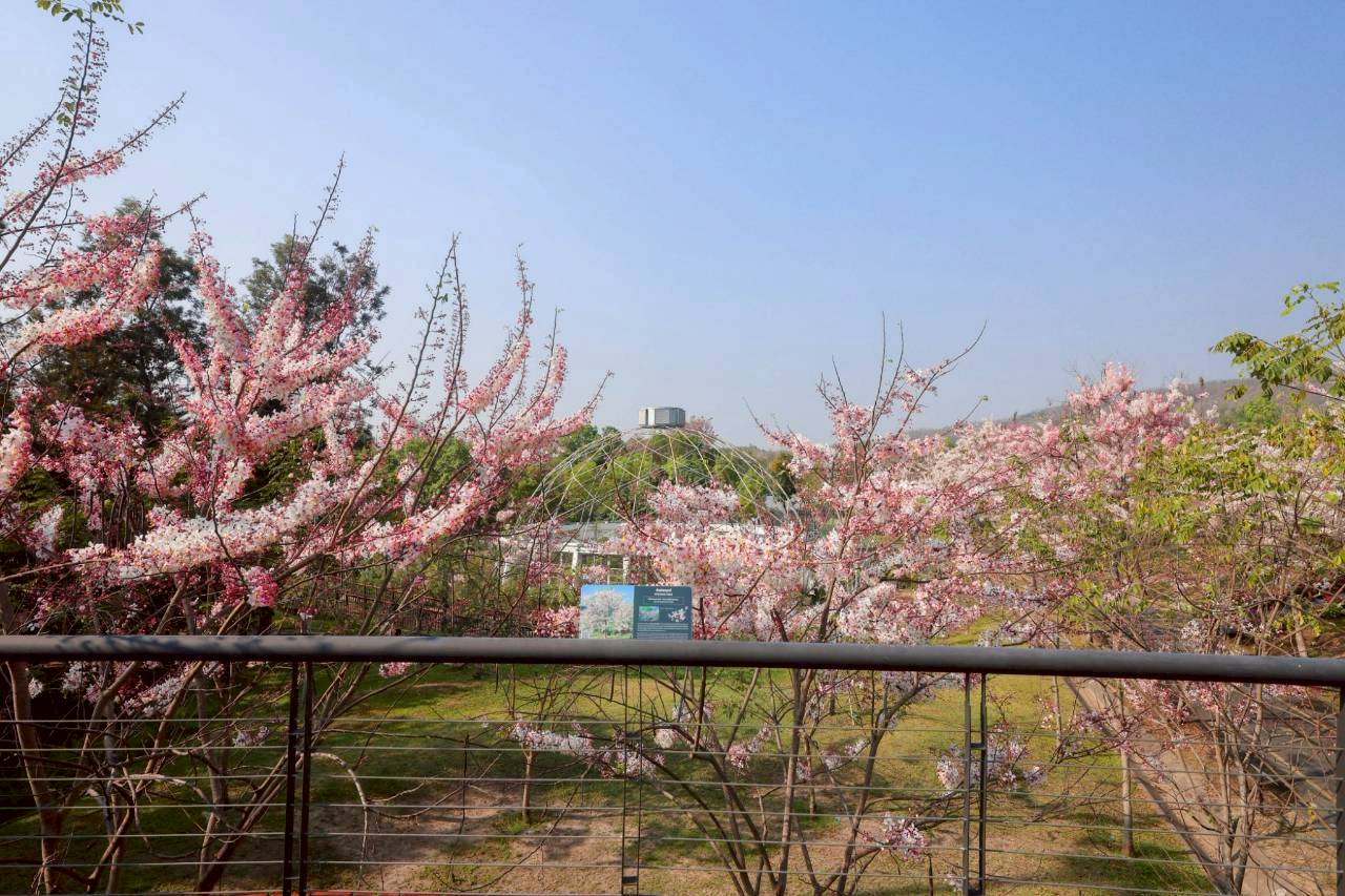 LINE ALBUM 2422026 260224 14