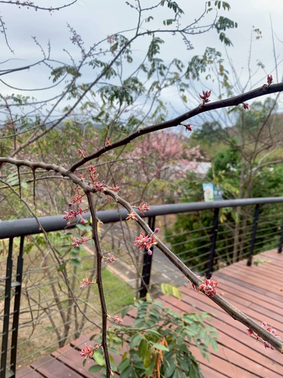 LINE ALBUM 2422026 260224 18