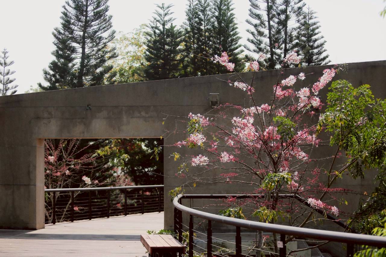 LINE ALBUM 2422026 260224 6