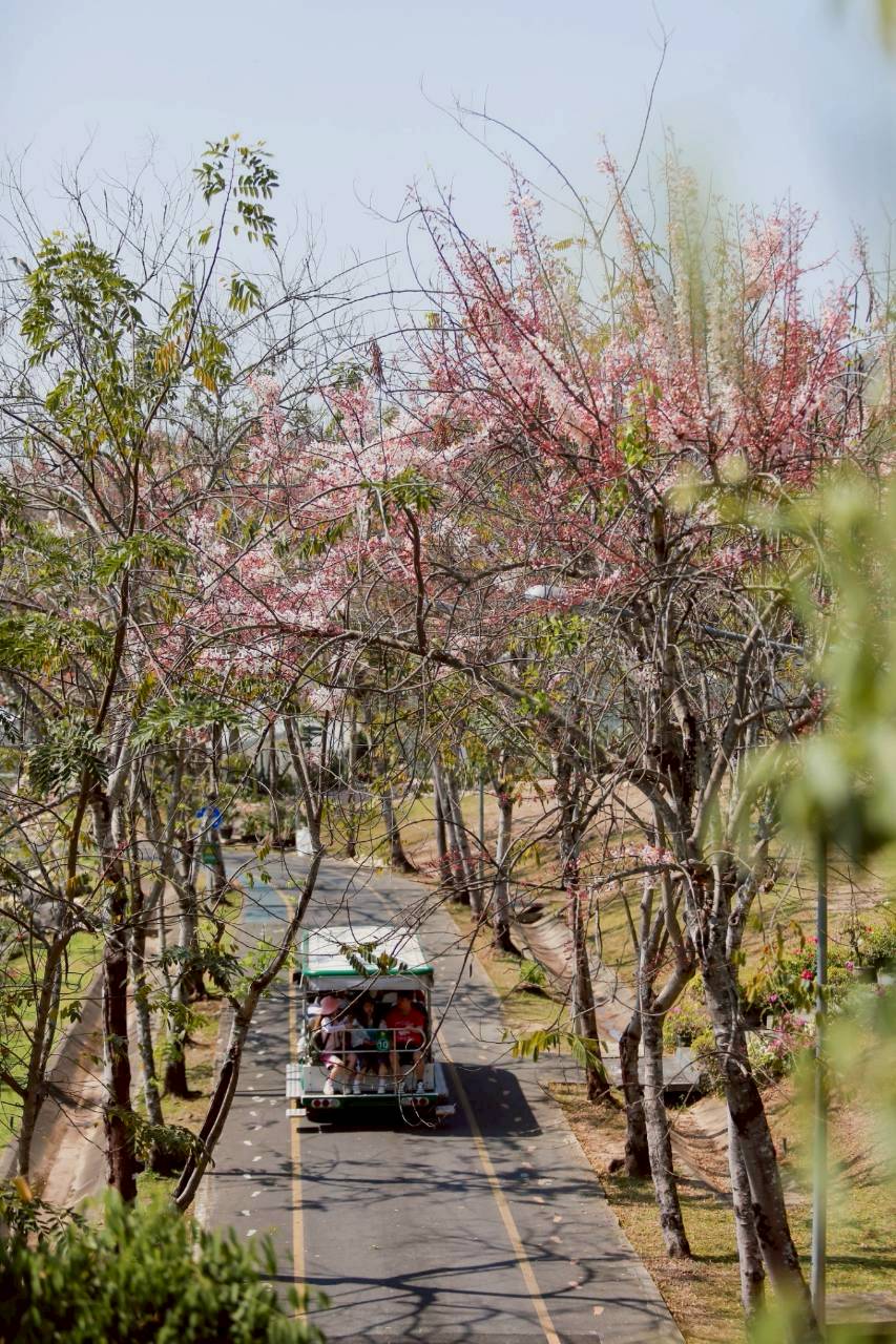 LINE ALBUM 2422026 260224 8