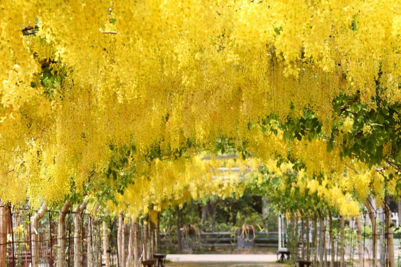 LINE ALBUM 2722026 260227 1