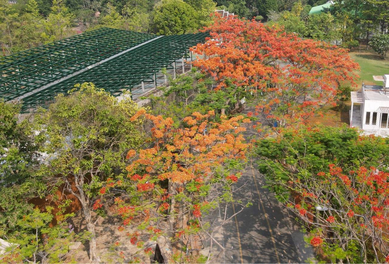 LINE ALBUM 2722026 260227 12