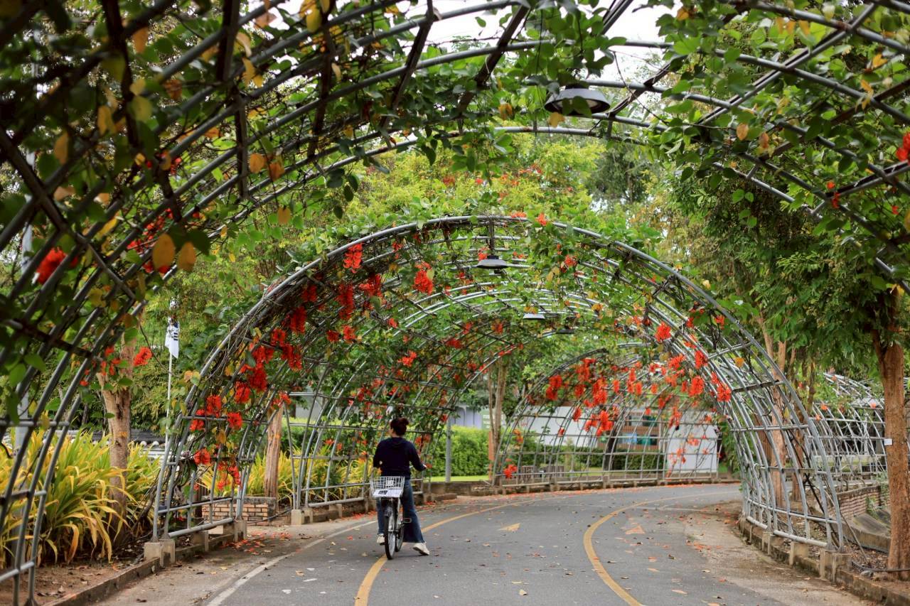 LINE ALBUM 2722026 260227 20