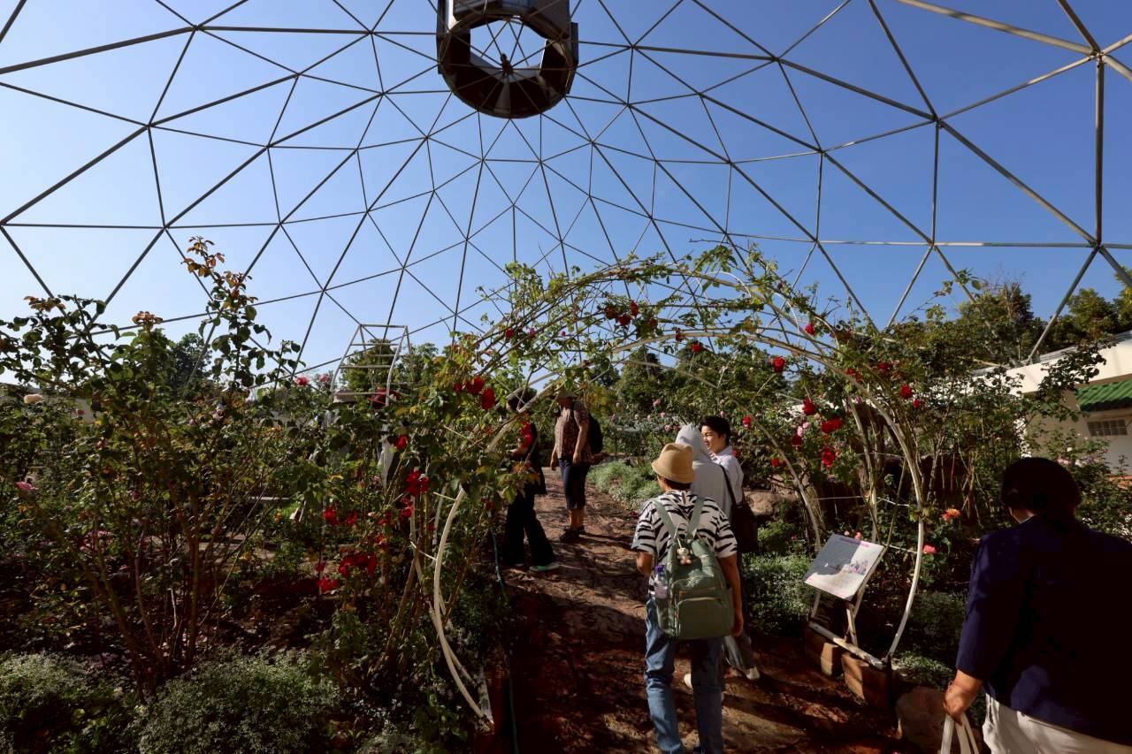 LINE ALBUM 2722026 260227 24