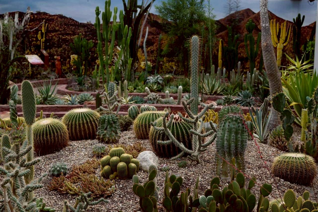 LINE ALBUM 2722026 260227 26