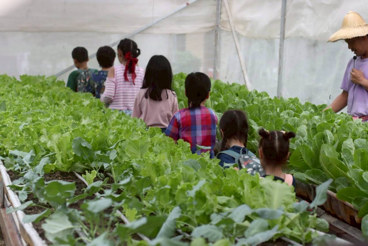 LINE ALBUM 2722026 260227 28