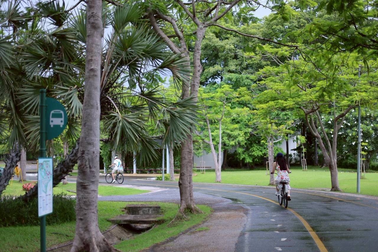 LINE ALBUM 2722026 260227 30