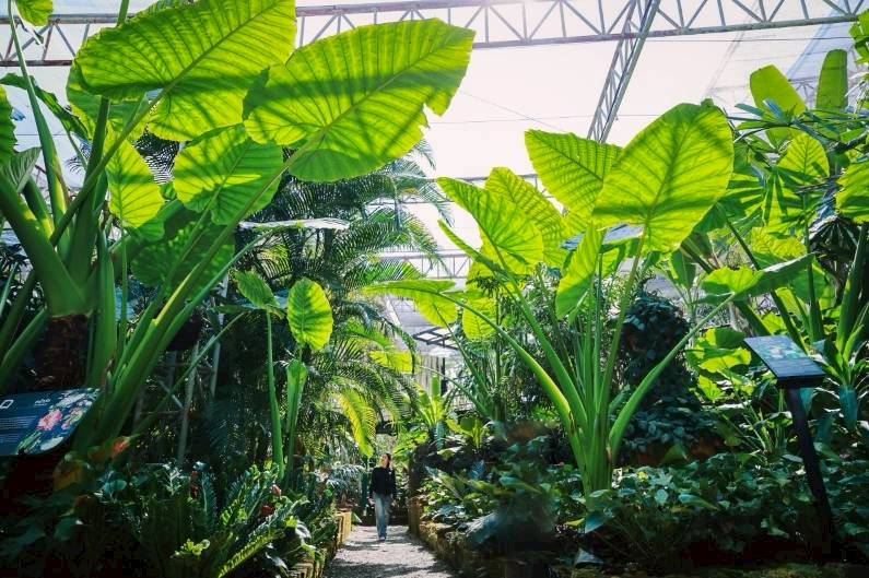 LINE ALBUM 2722026 260227 32