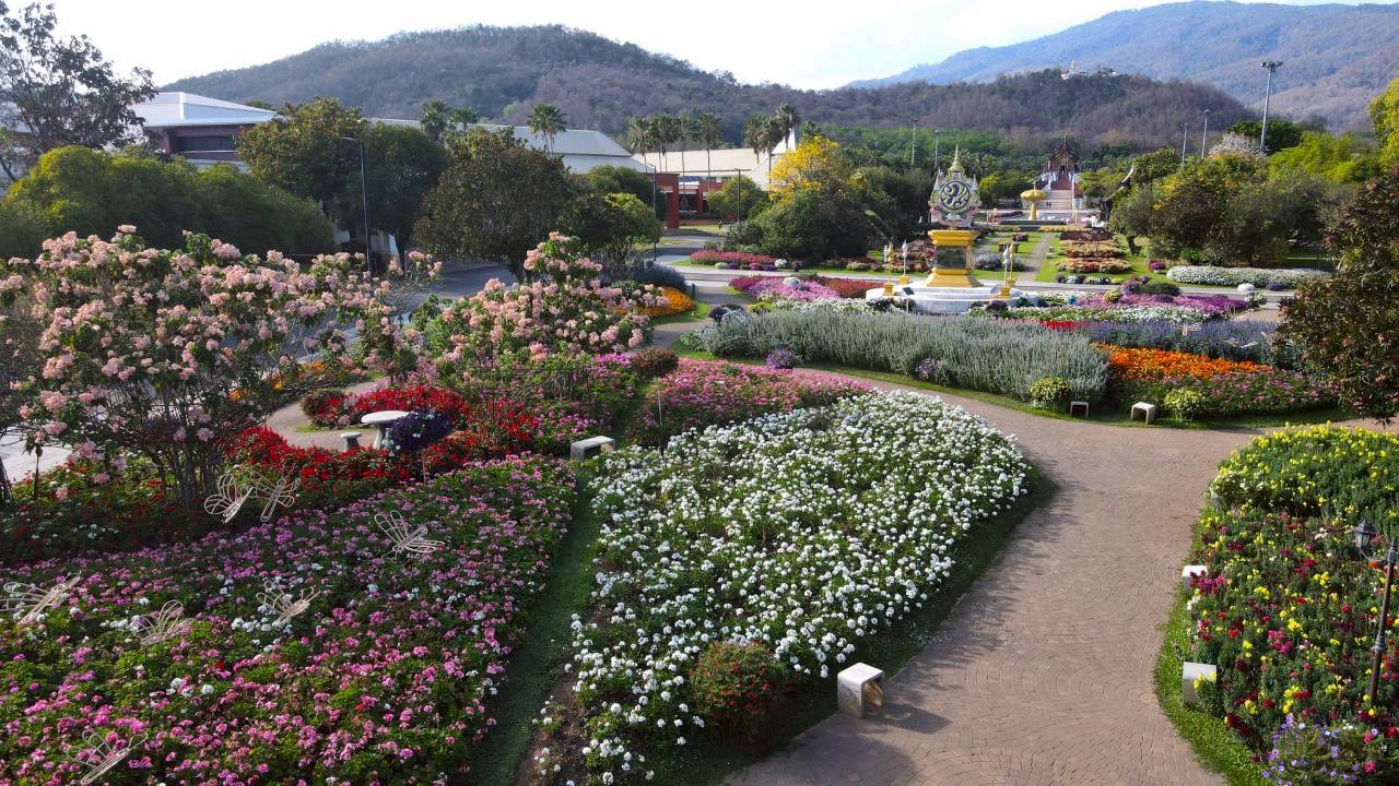 LINE ALBUM 2722026 260227 34