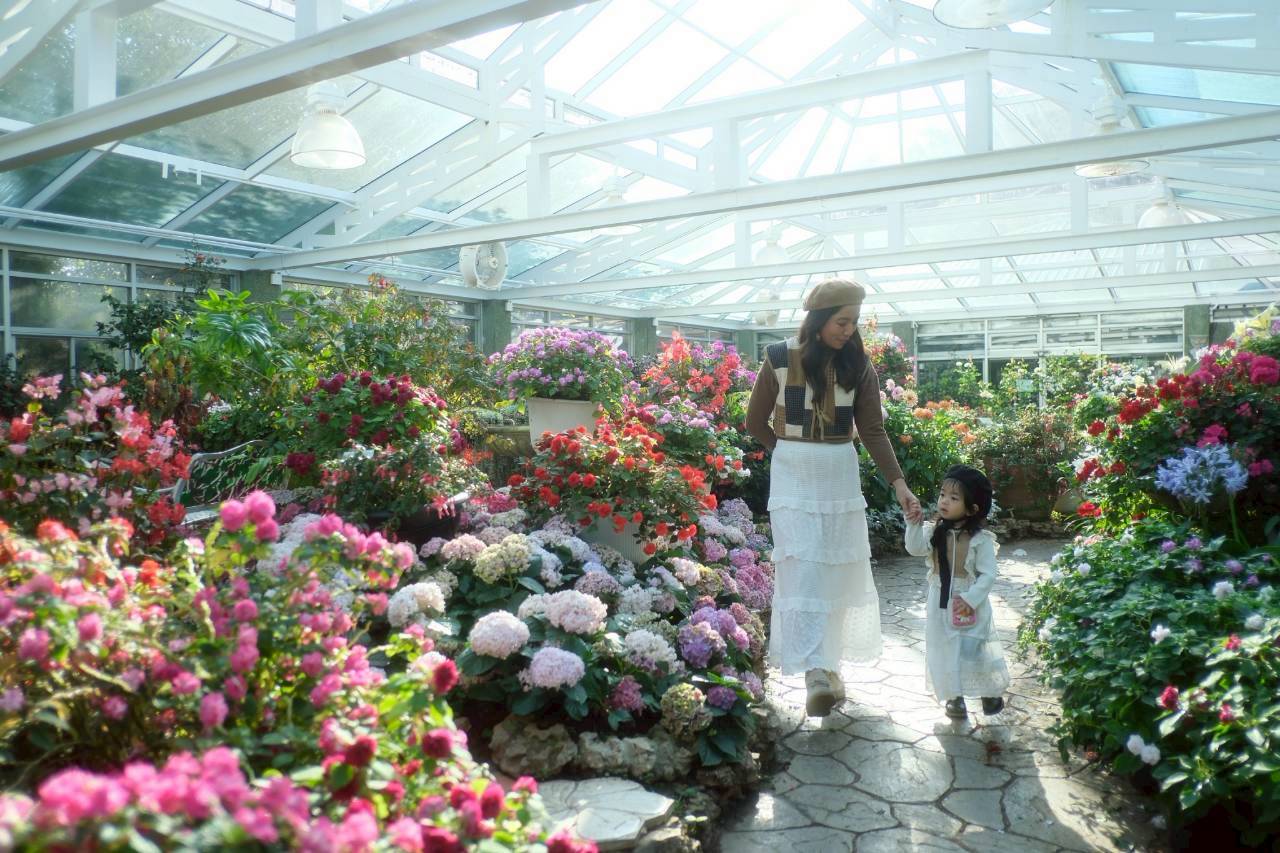 LINE ALBUM 2722026 260227 36