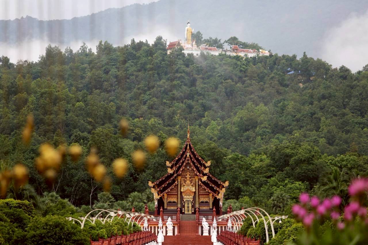 LINE ALBUM 2722026 260227 5