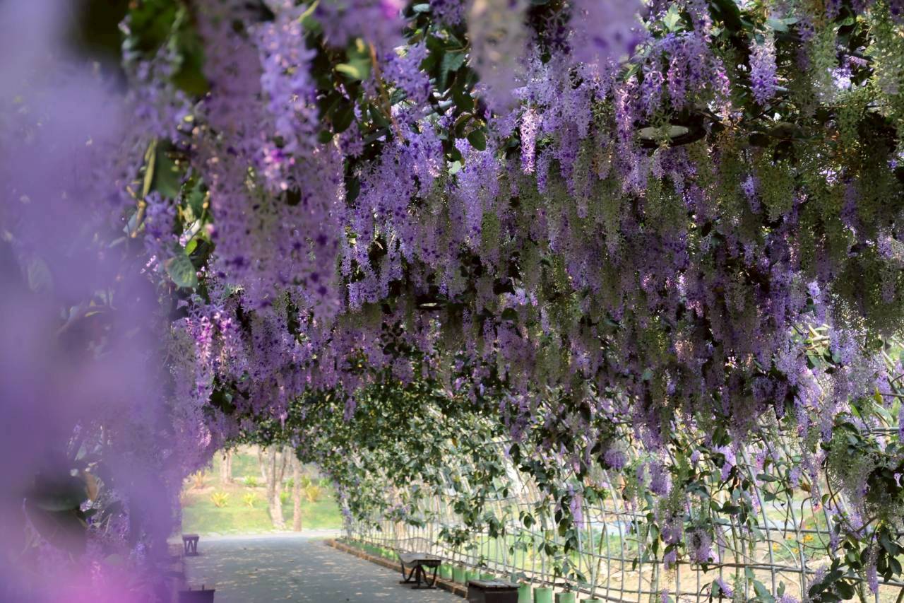 LINE ALBUM 2722026 260227 6