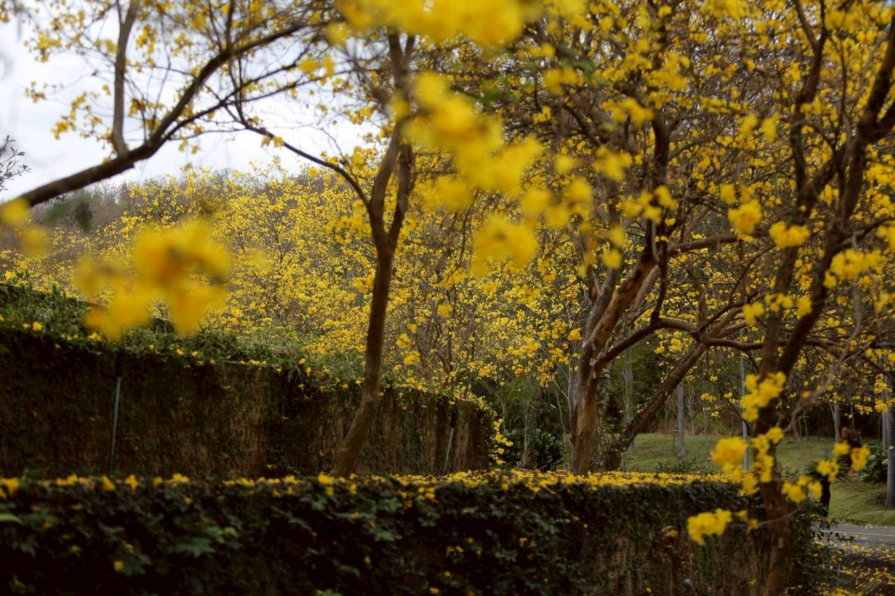 LINE ALBUM 2722026 260227 8