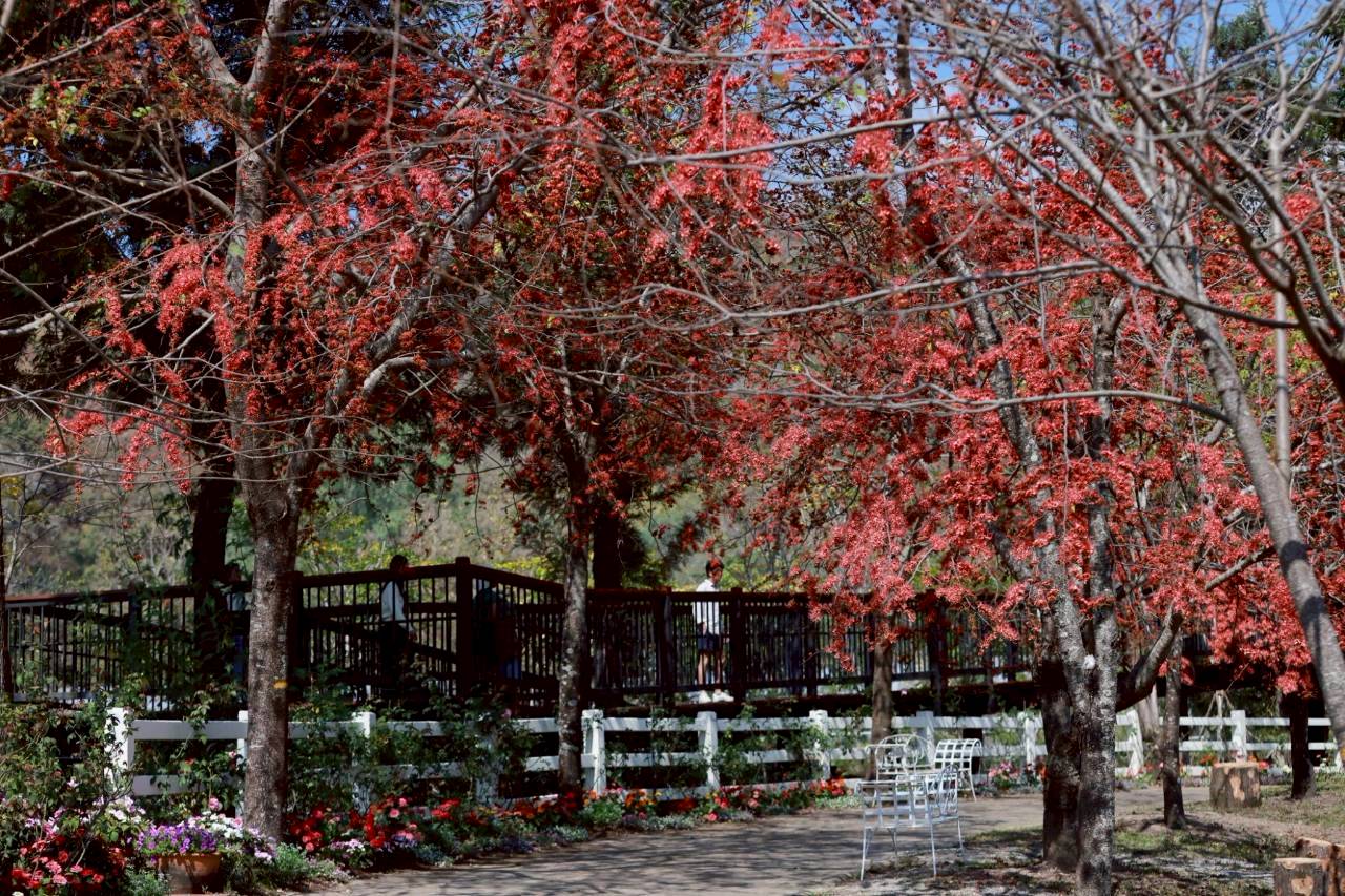 LINE ALBUM 522026 260205 10