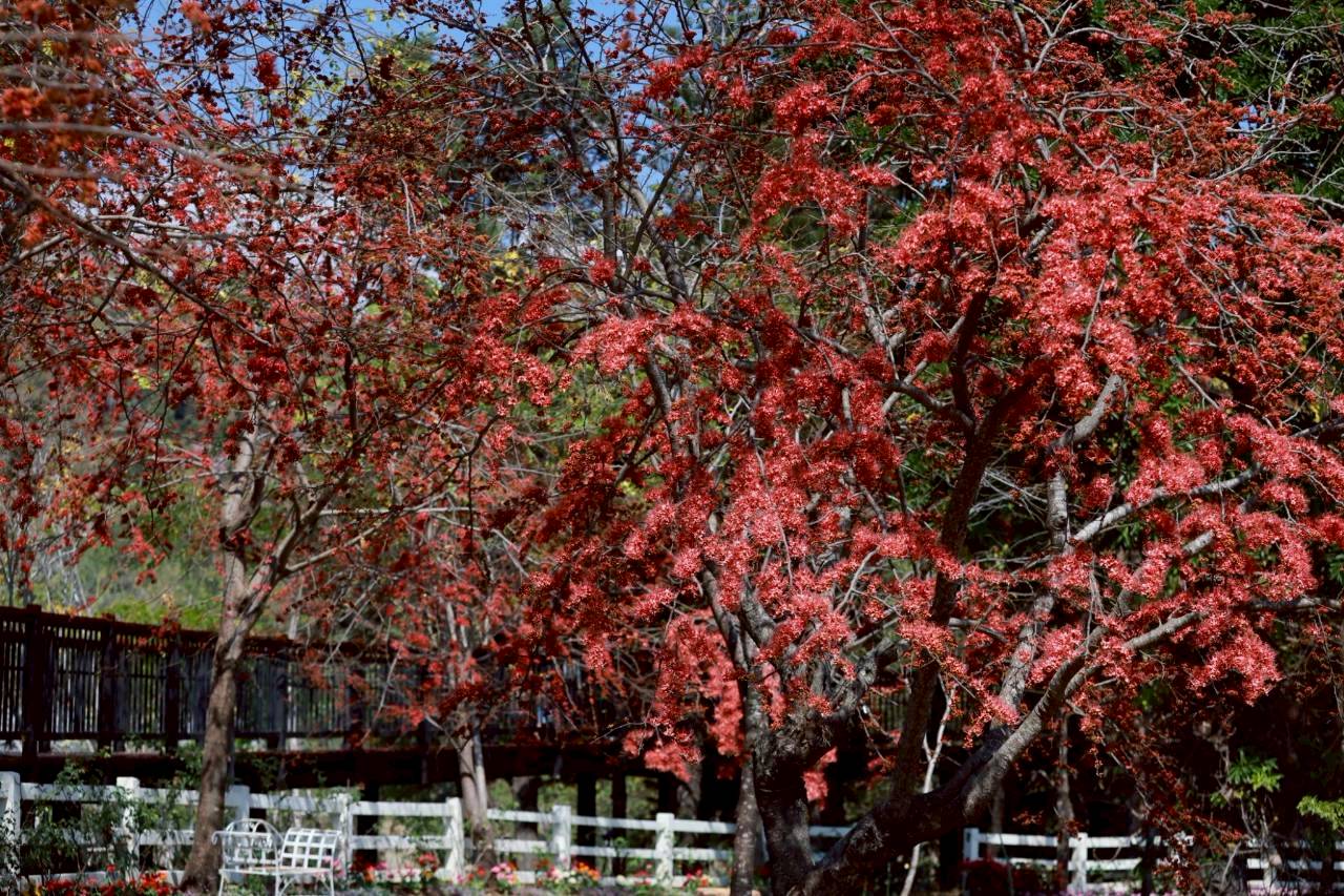 LINE ALBUM 522026 260205 12